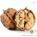 Fresh Sweet top quality of Yunnan Walnut